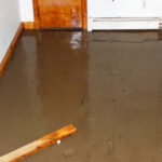 Top 5 Signs Your Racine Basement Needs Waterproofing