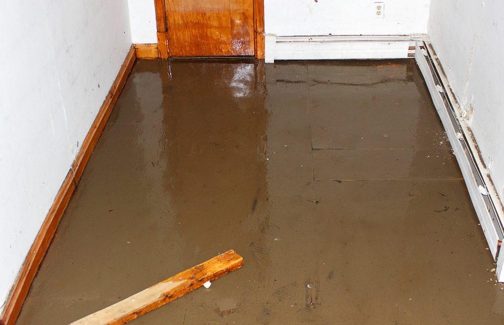 Flooded,Basement,,Suitable,For,Contractors,Or,Basement,Renovation,Specialists