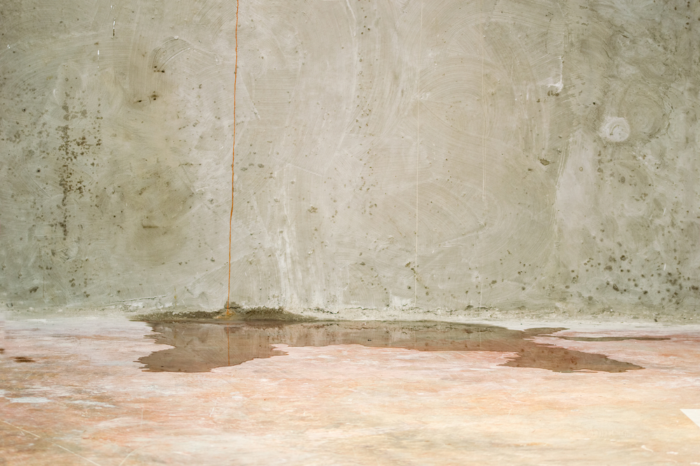 Water,Damage,In,Basement,Caused,By,Sewer,Backflow,Due,To