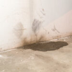 Water,Damage,In,Basement,Caused,By,Sanitary,Drain.