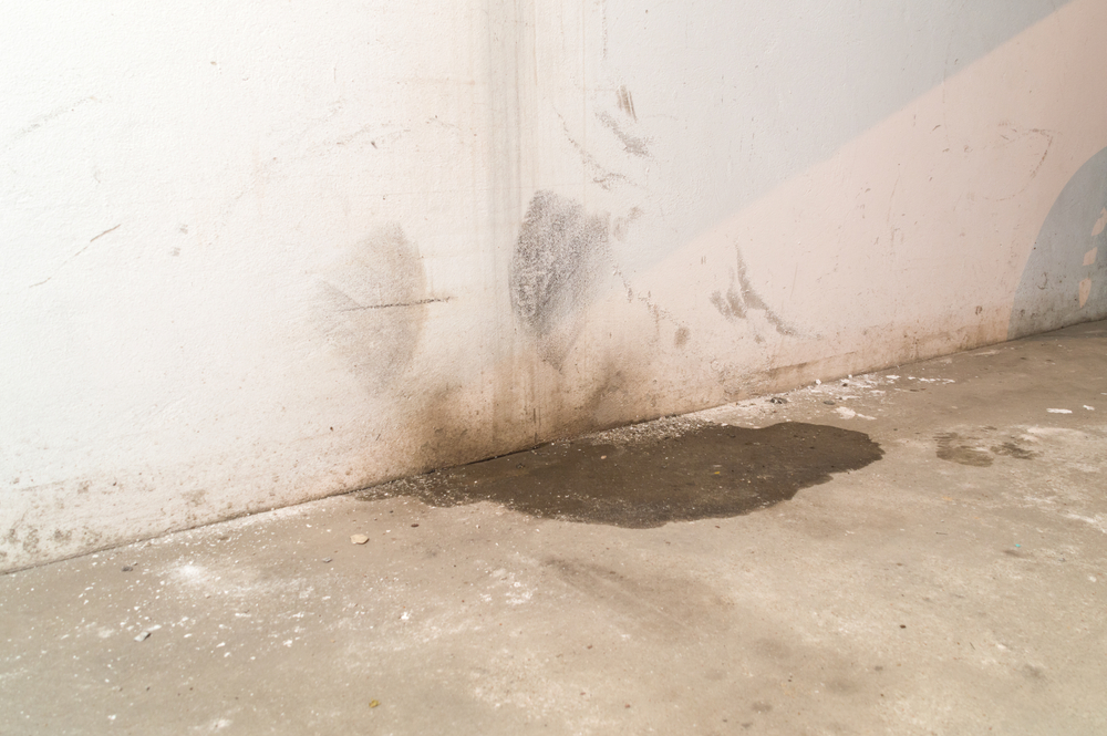 Water,Damage,In,Basement,Caused,By,Sanitary,Drain.