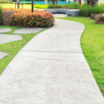 Walkway,And,Bush.,That,Is,Concrete,Pavement,,Floor,,Passage,,Path,