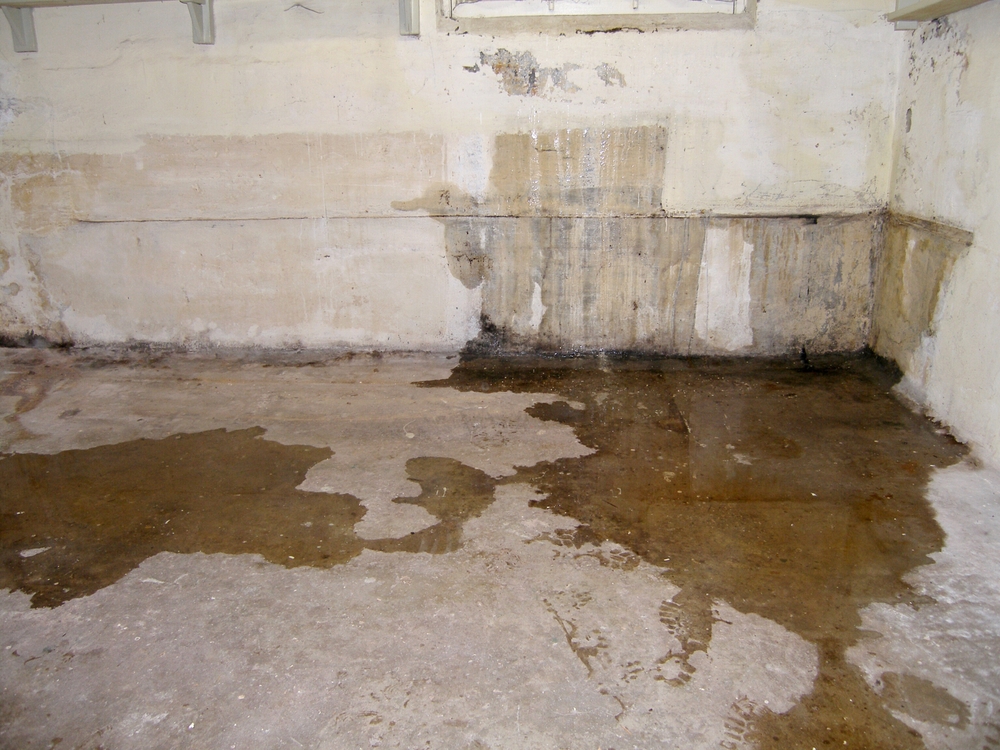 Amsterdam,-,August,30,,2010.,Leakage,Of,Groundwater,Through,A